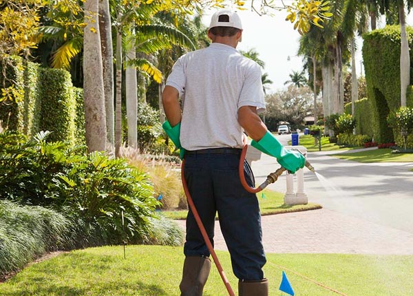 About Mc Coll SC Pest Control Pros